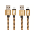 PBG 10FT XL Type-C Charger Cable - Nylon Woven Zebra Pattern 2 Pack